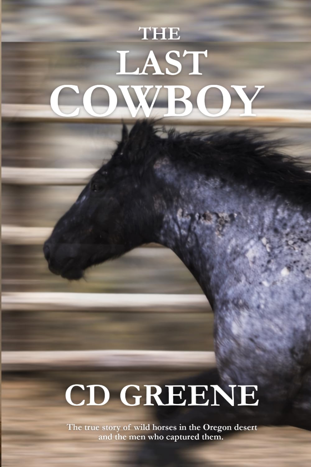 The Last Cowboy