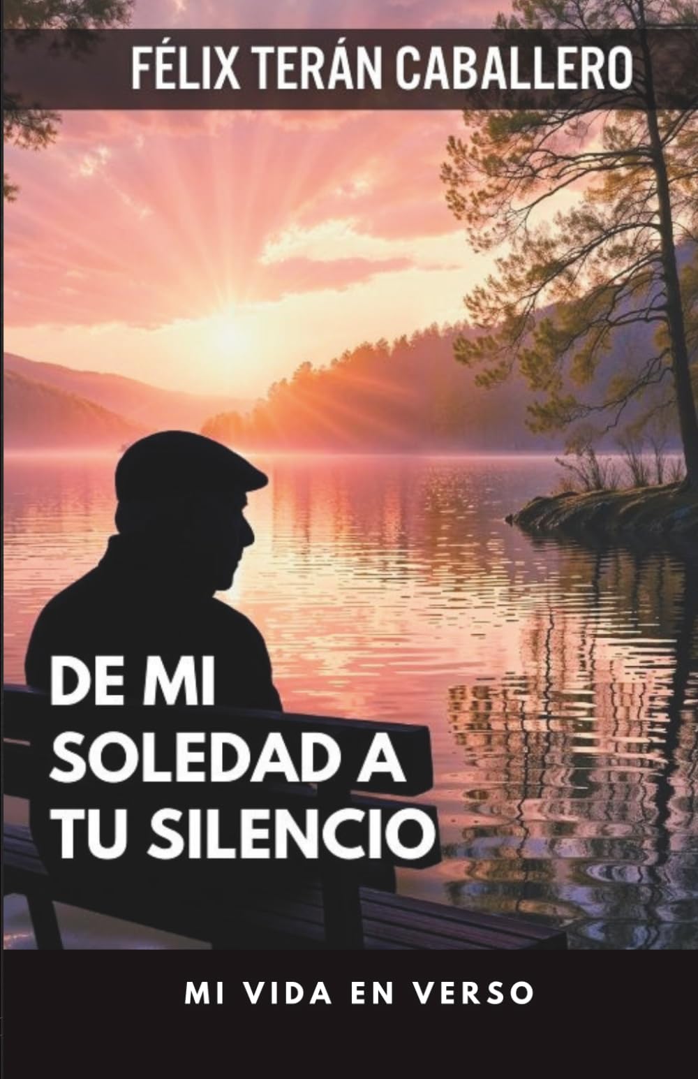 DE MI SOLEDAD A TU SILENCIO: Mi vida en verso (Spanish Edition)