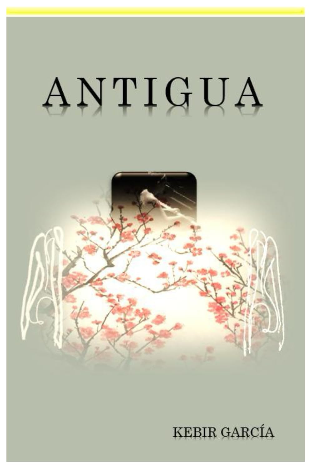 ANTIGUA (Spanish Edition)