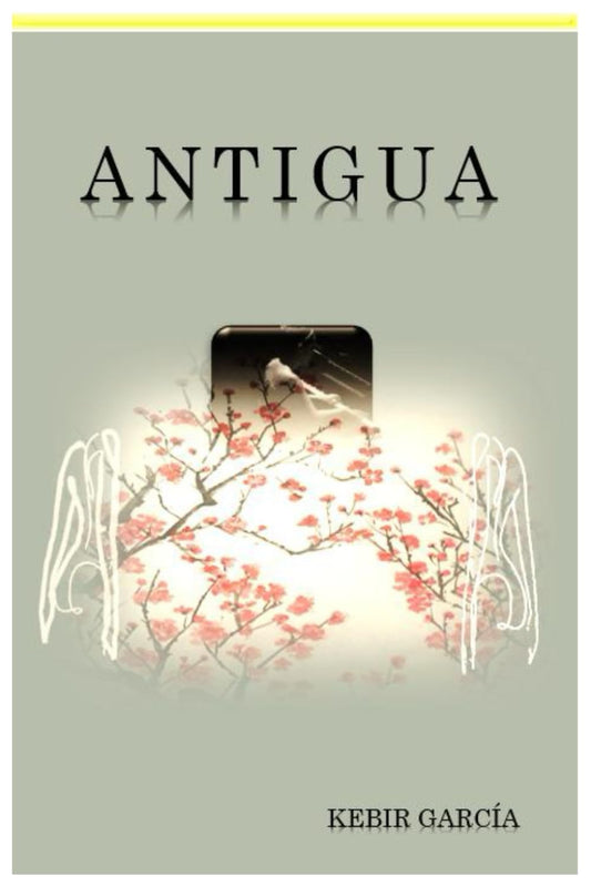 ANTIGUA (Spanish Edition)