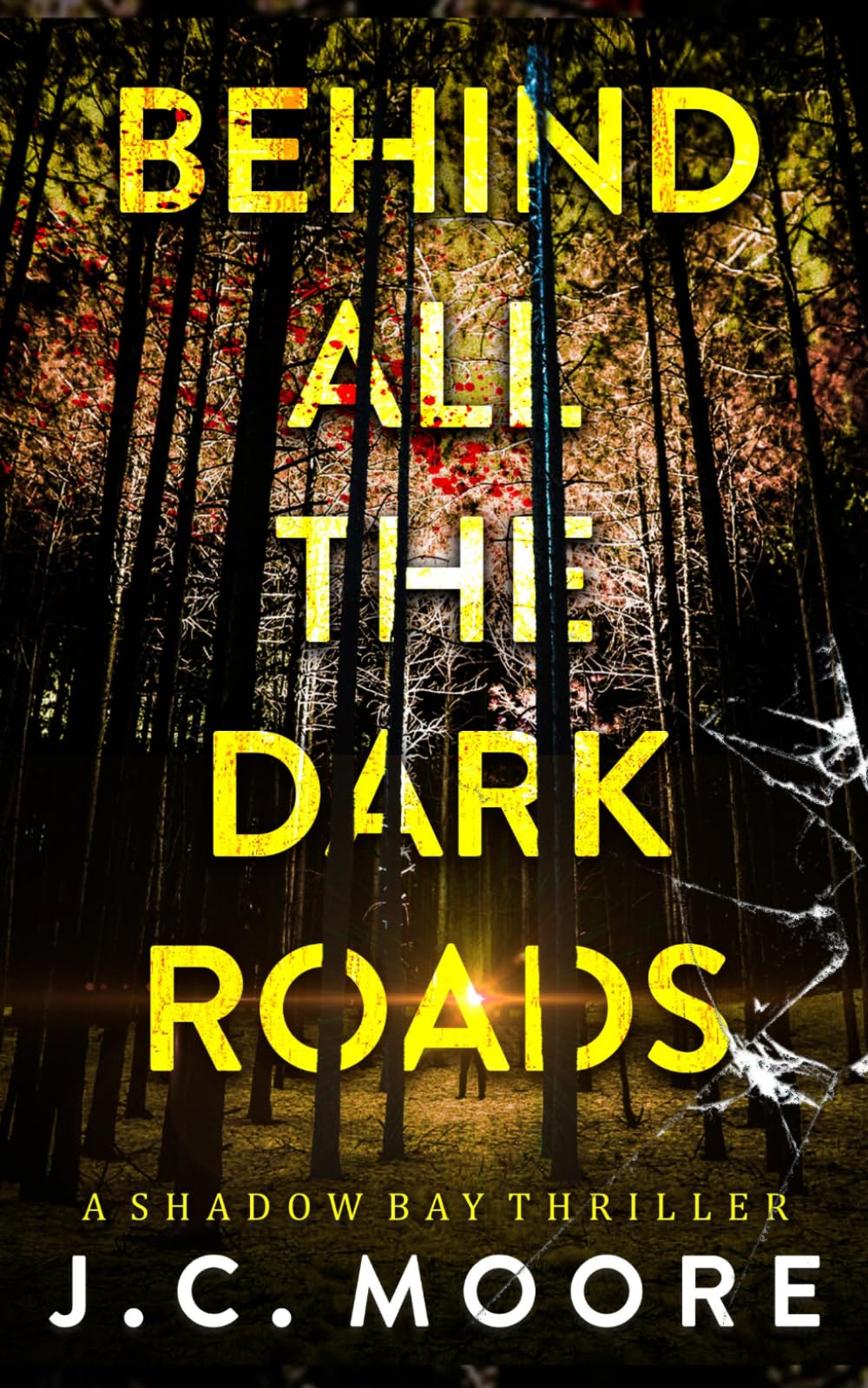 Behind All The Dark Roads: A Psychological Suspense Thriller (Shadow Bay Thriller)
