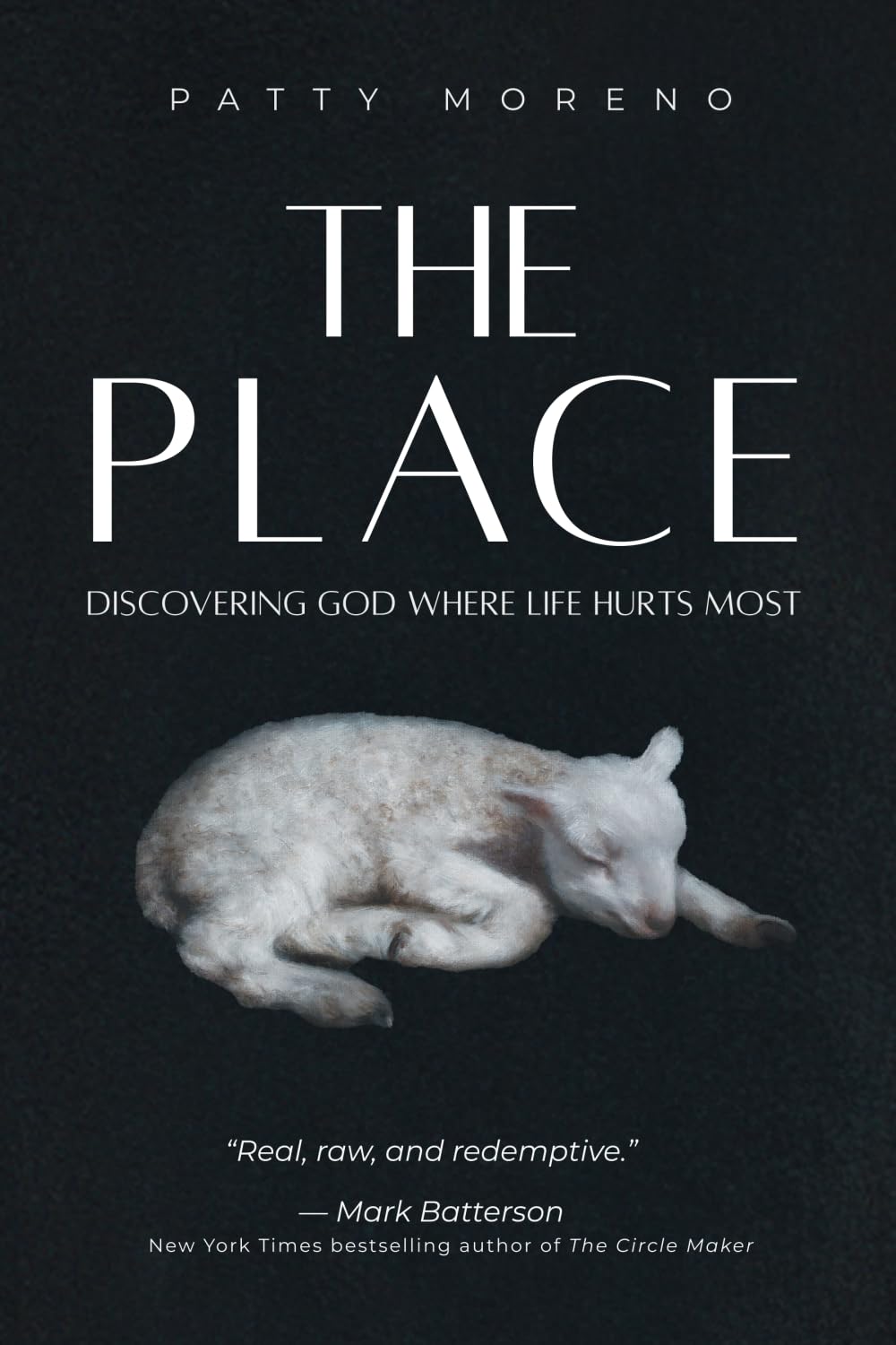 The Place: Discovering God Where Life Hurts Most