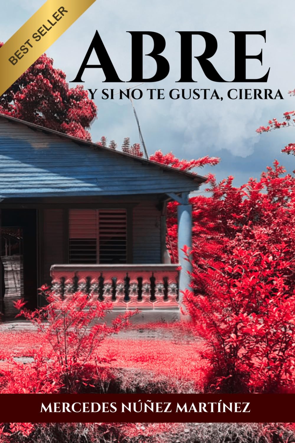 ABRE Y SI NO TE GUSTA, CIERRA (Spanish Edition)