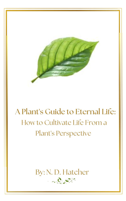 A Plant's Guide to Eternal Life: How to Cultivate Life From a Plant's Perspective