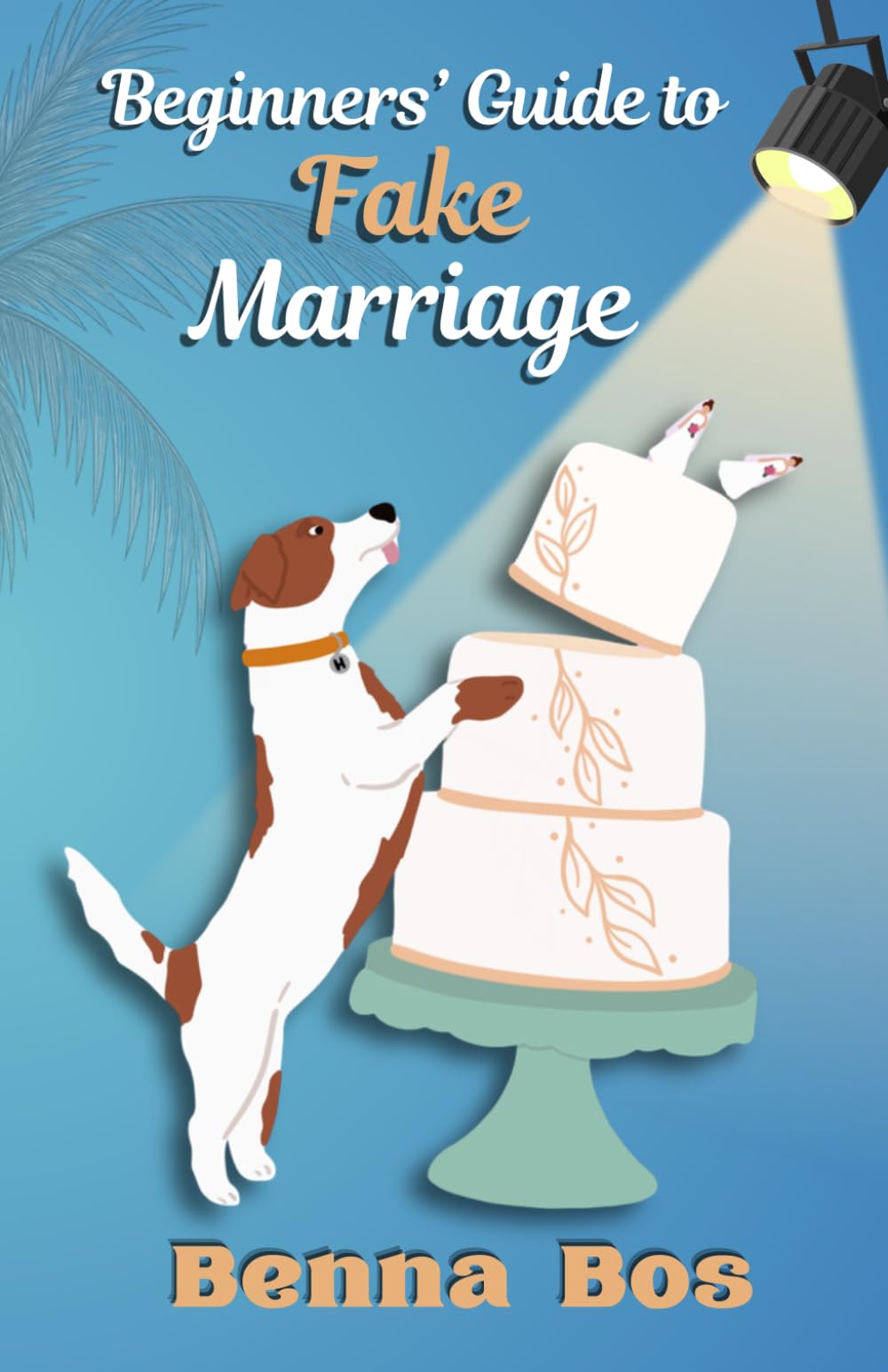Beginner's Guide to Fake Marriage