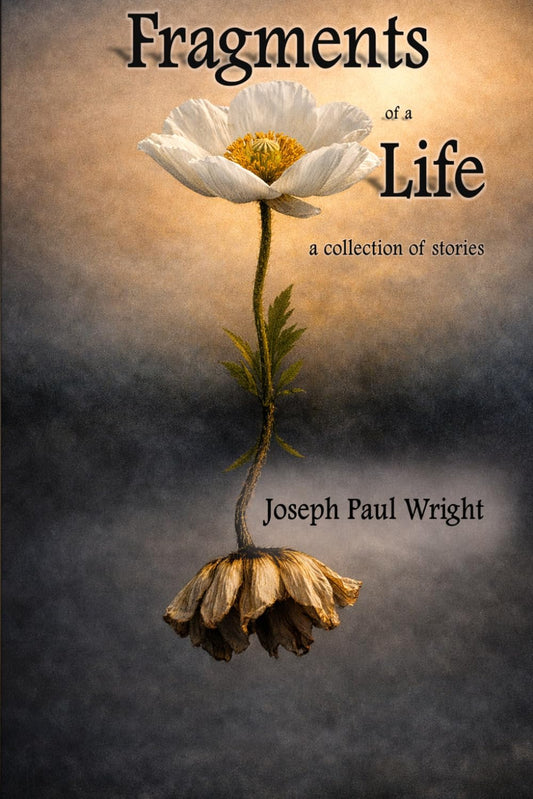 Fragments of a Life: a collection of stories