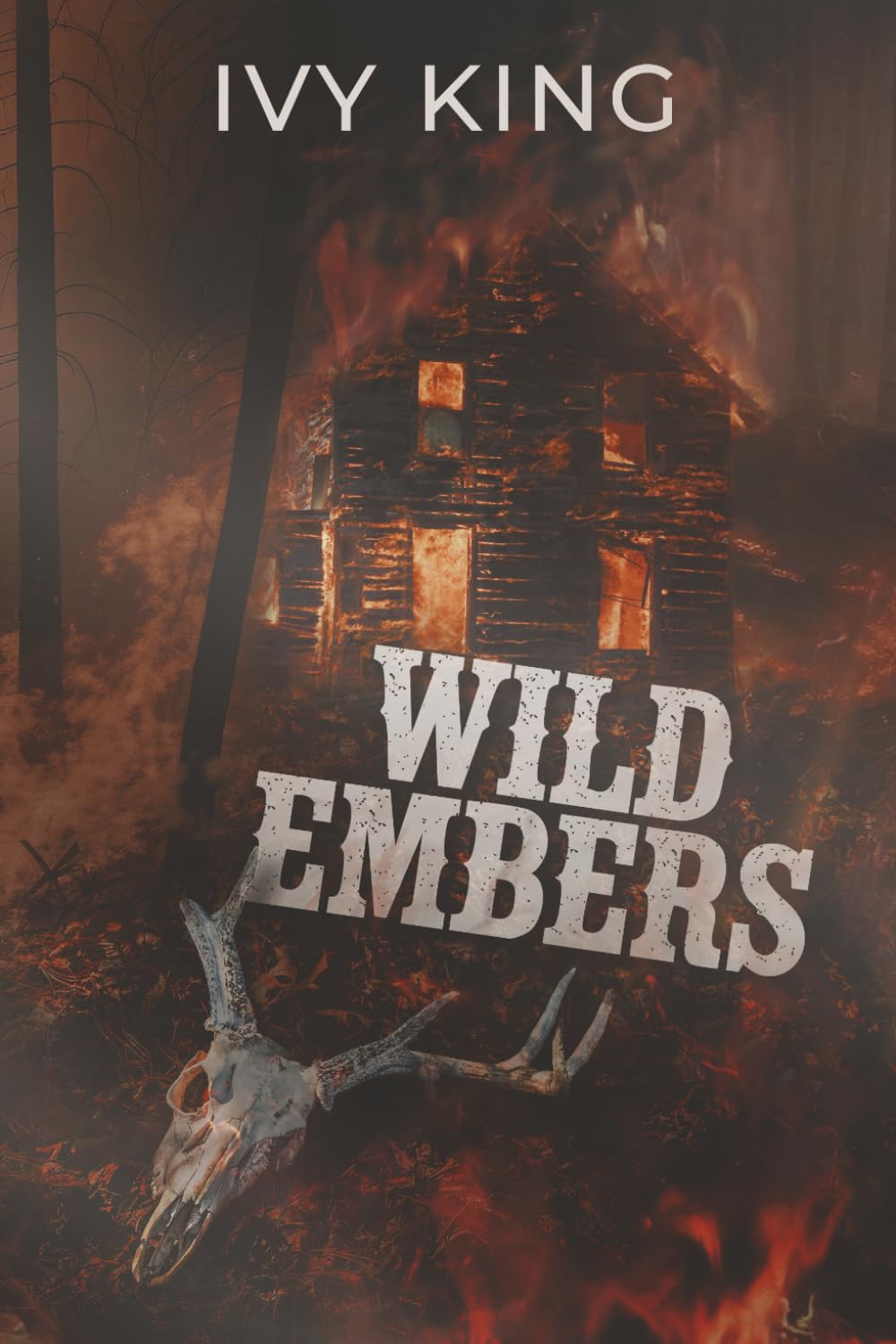 Wild Embers: A Dark Why Choose Cowboy Romance