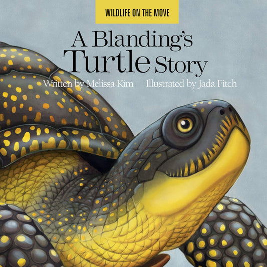 A Blanding’s Turtle Story (Wildlife on the Move) - 716