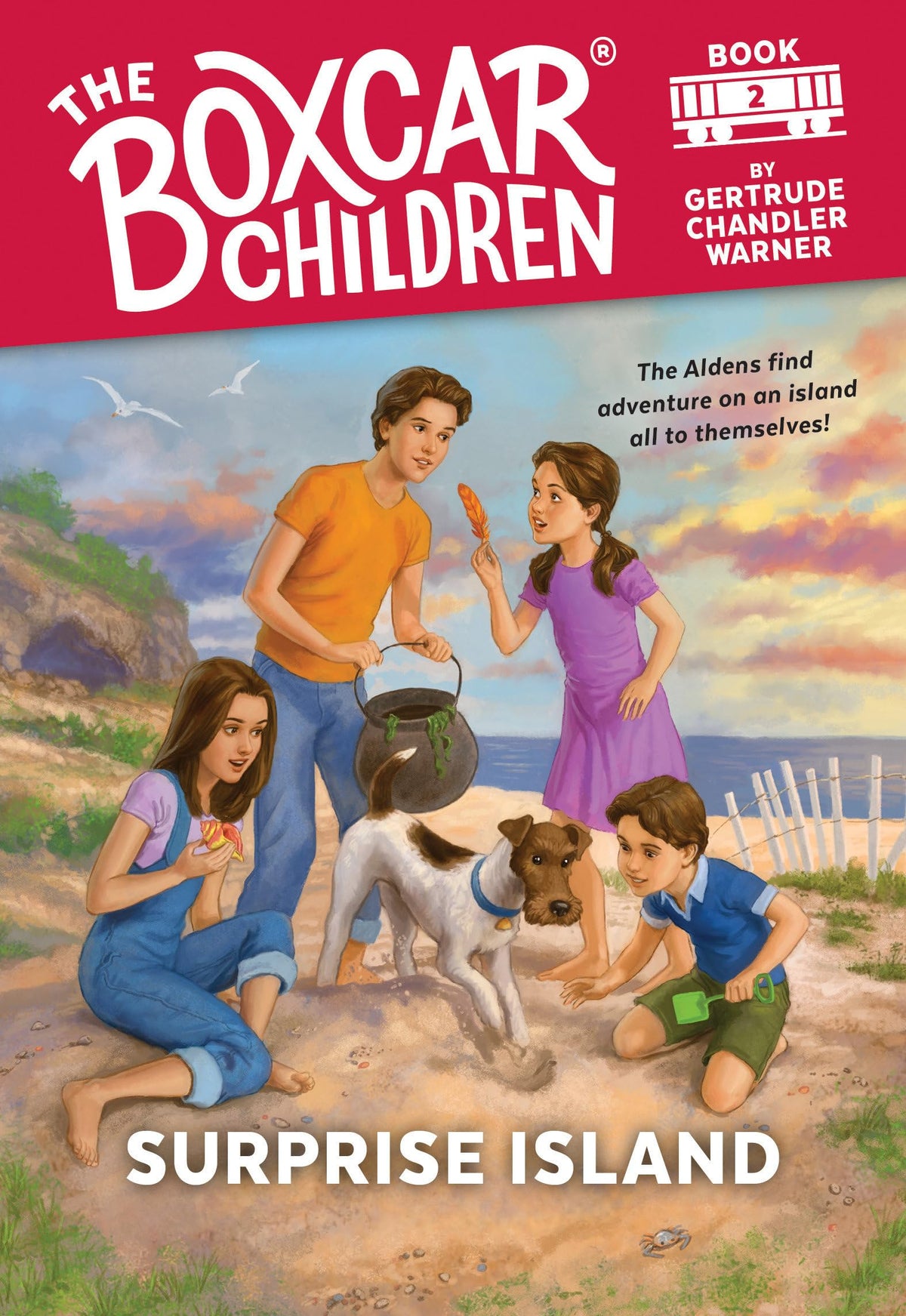SURPRISE ISLAND (THE BOXCAR CHIL