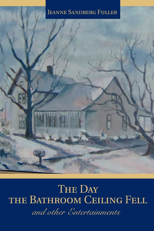 The Day the Bathroom Ceiling Fell: and other Entertainments - 6102