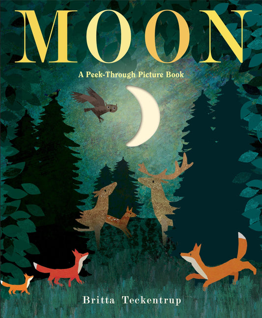 Moon: A Peek-Through Picture Book - 7996
