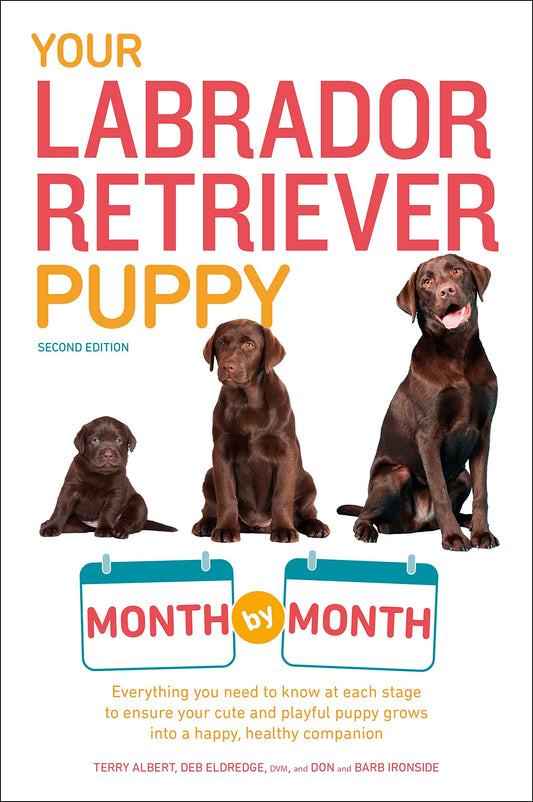 YOUR LABRADOR RETRIEVER PUPPY MO - 2671