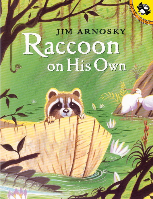 Raccoon On His Own (Picture Puffin Books) - 2645