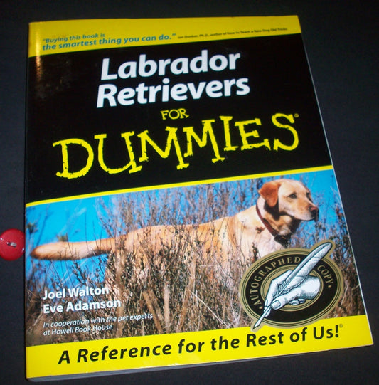 Labrador Retrievers for Dummies - 7872