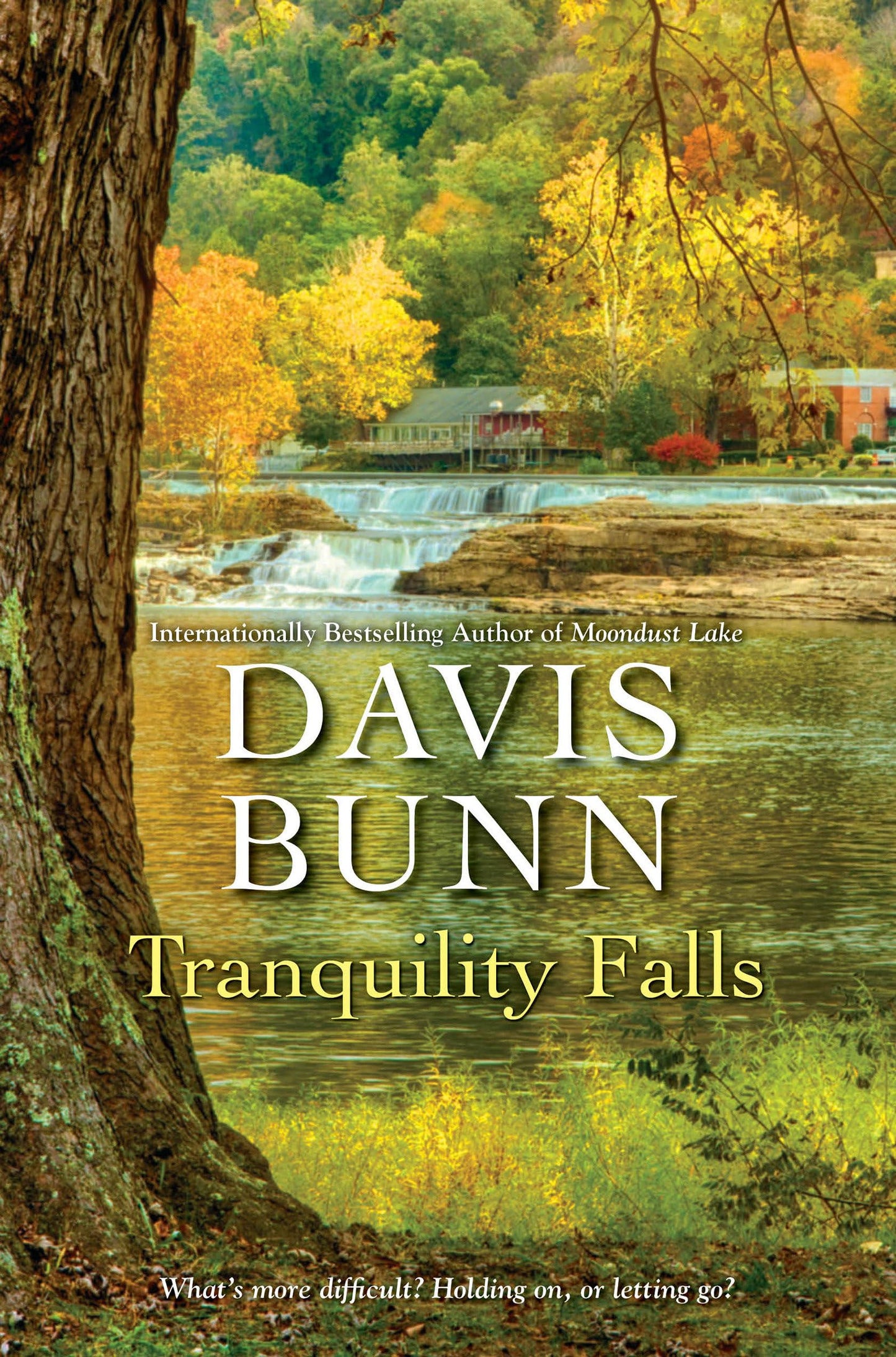 Tranquility Falls (Miramar Bay) - 3751