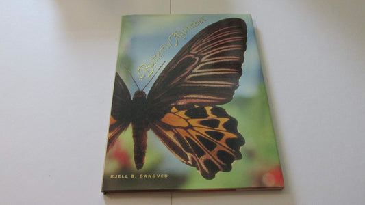 The Butterfly Alphabet - 605