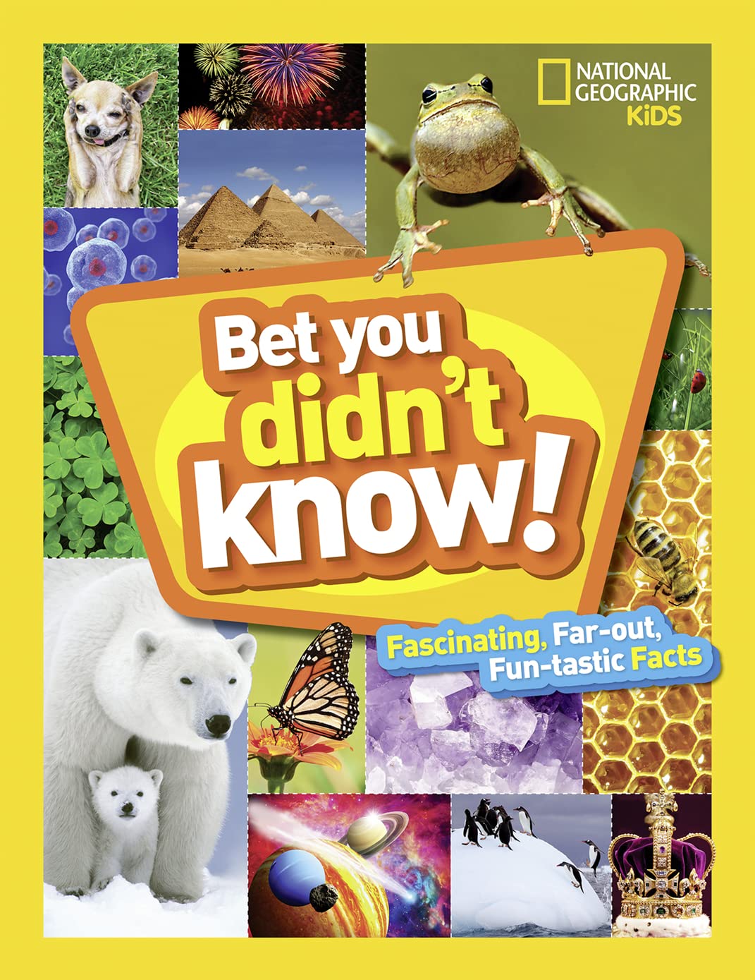 Bet You Didn't Know: Fascinating, Far-out, Fun-tastic Facts! - 3125
