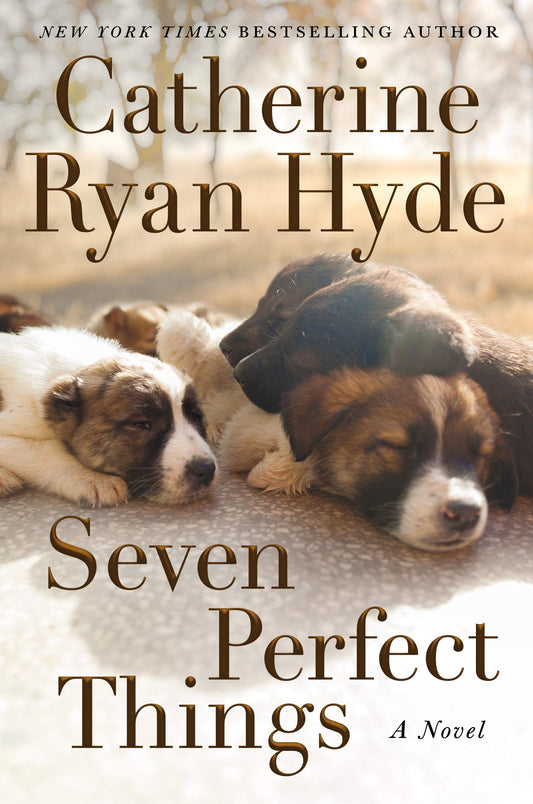 Seven Perfect Things: A Novel - 2035