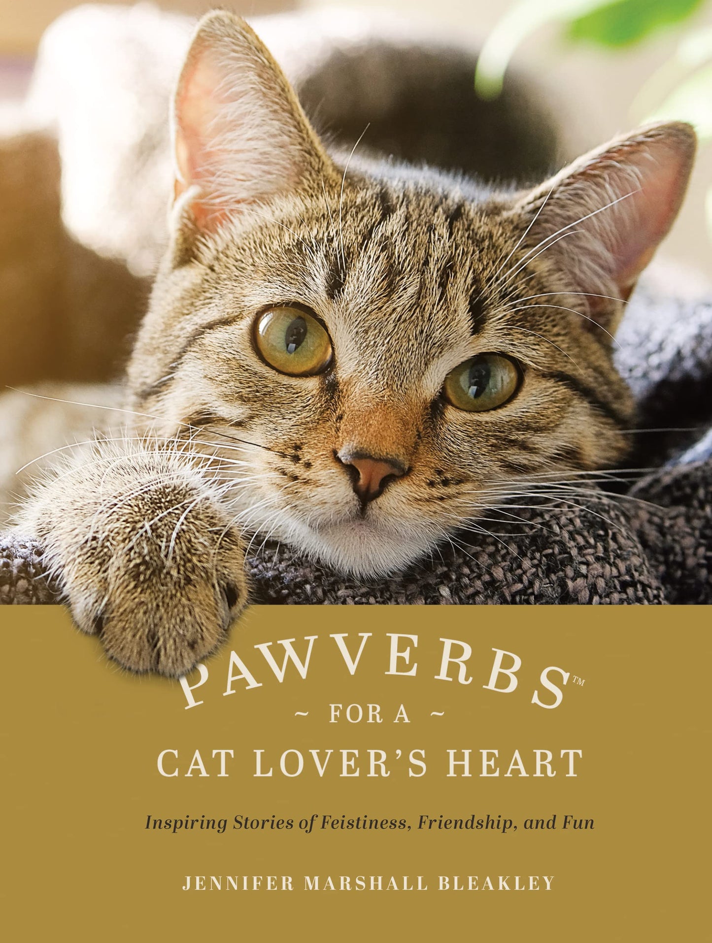 Pawverbs for a Cat Lover's Heart: Inspiring Stories of Feistiness, Friendship, and Fun - 6256