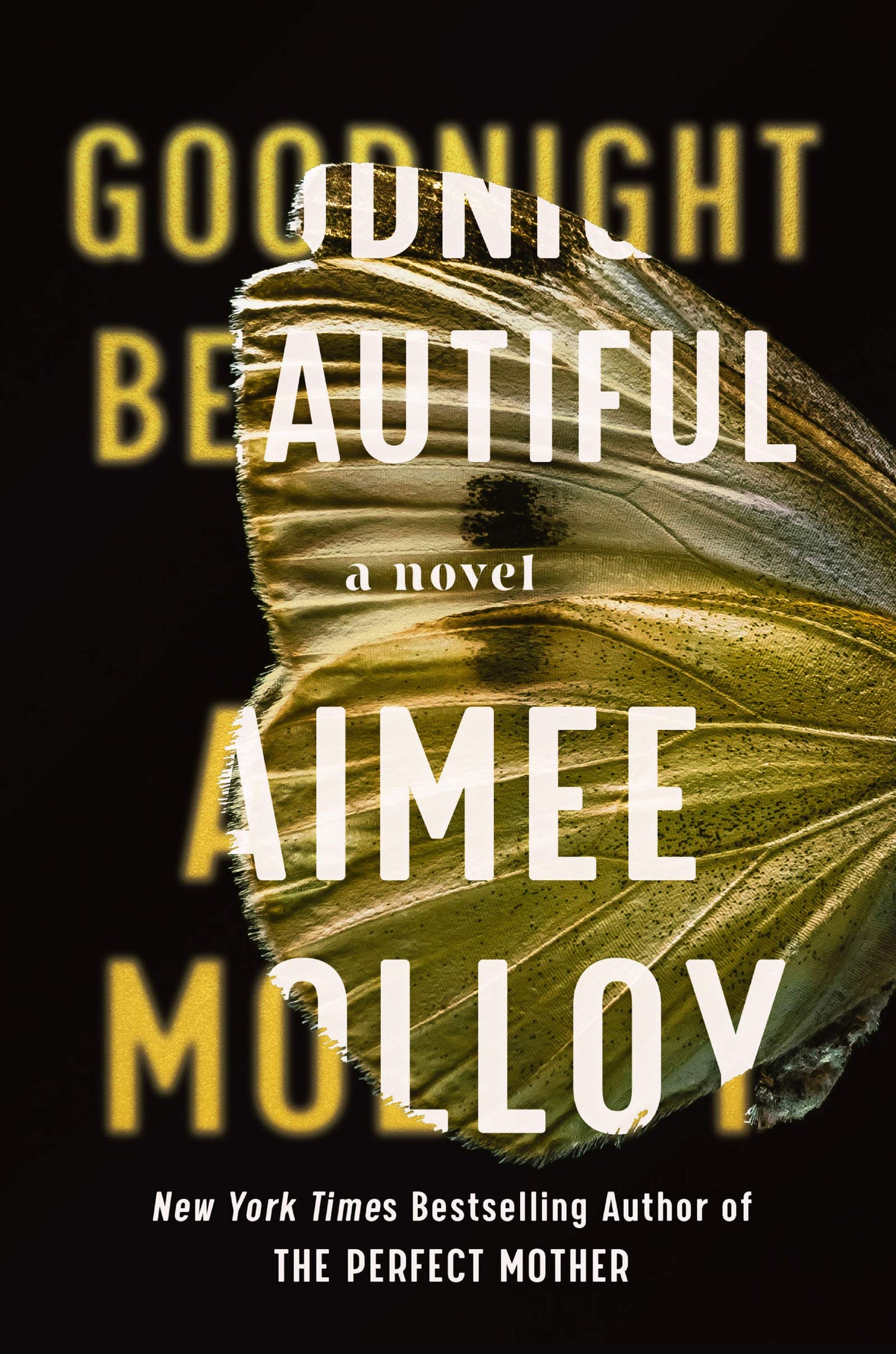 Goodnight Beautiful: A Novel - 8879