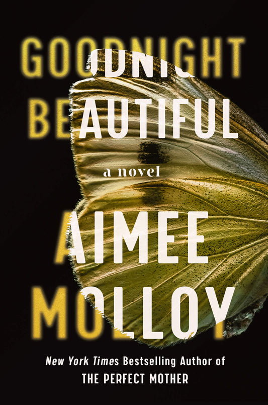 Goodnight Beautiful: A Novel - 8879