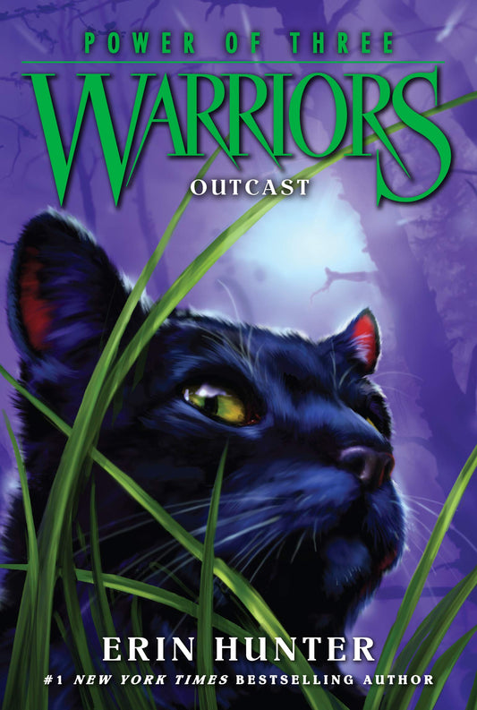 Warriors: Power of Three #3: Outcast - 8734