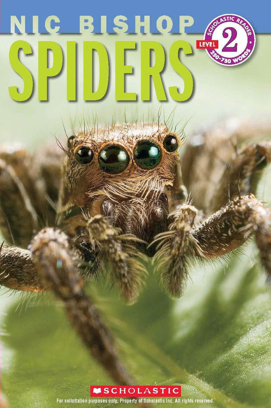 Spiders (Nic Bishop: Scholastic Reader, Level 2) - 6181
