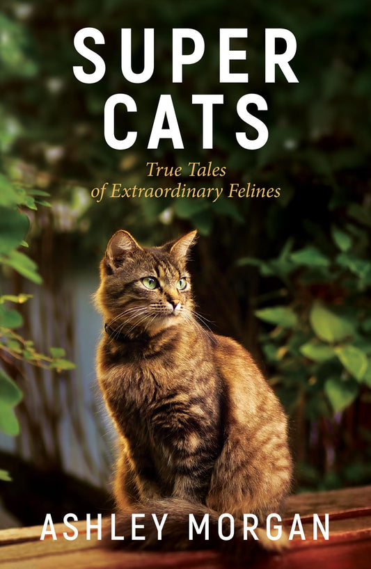 Super Cats: True Tales of Extraodinary Felines - 9713