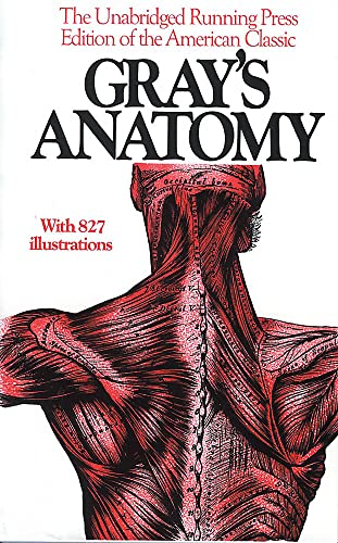 Anatomy, Descriptive and Surgical, 1901 Edition - 1611
