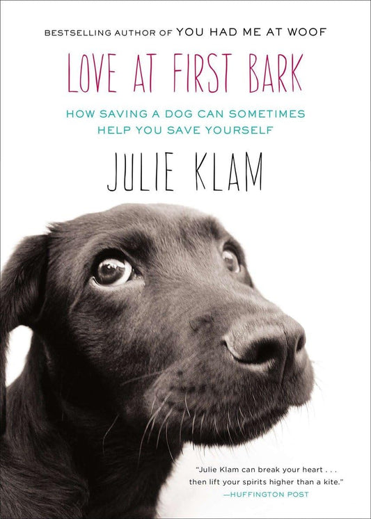 Love at First Bark: How Saving a Dog Can Sometimes Help You Save Yourself - 5153