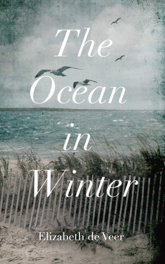 The Ocean in Winter - 2979