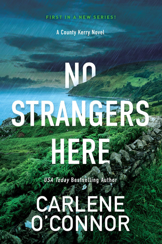 No Strangers Here: A Riveting Irish Thriller (A County Kerry Novel) - 1465