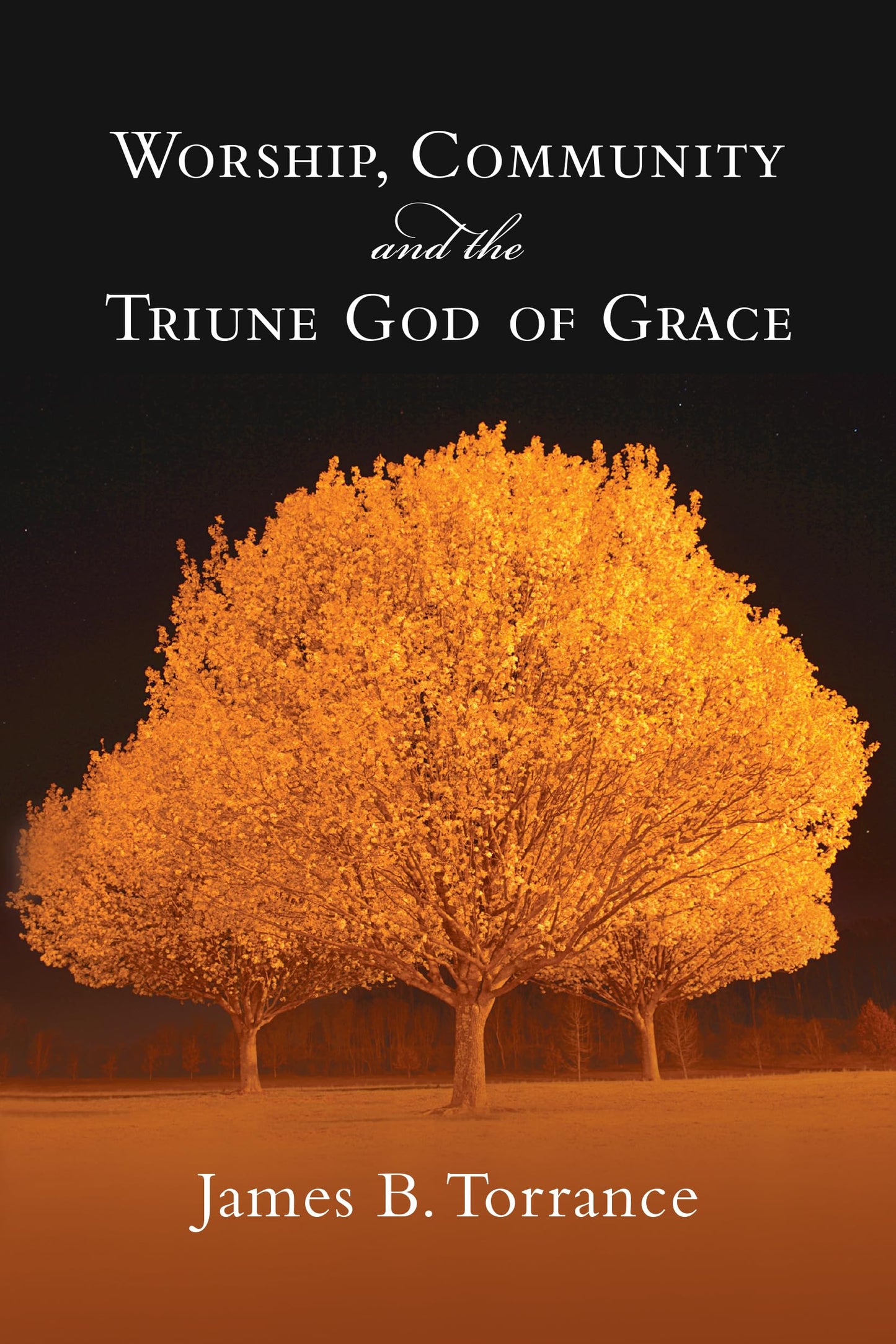Worship, Community and the Triune God of Grace - 4569
