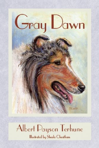 Gray Dawn - 7119