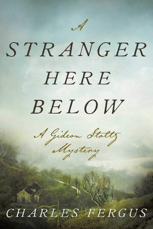 A Stranger Here Below: A Gideon Stoltz Mystery (Gideon Stoltz Mystery Series) - 6377