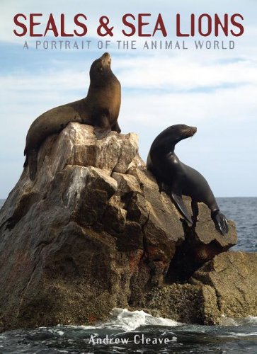 Seals & Sea Lions (A Portrait of the Animal World) - 1880