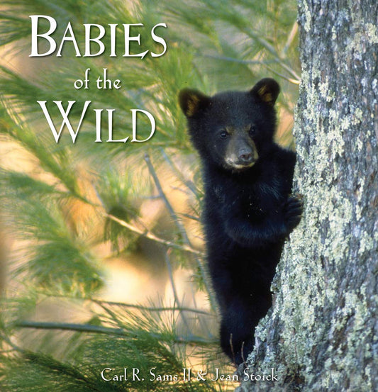 Babies of the Wild - 2634