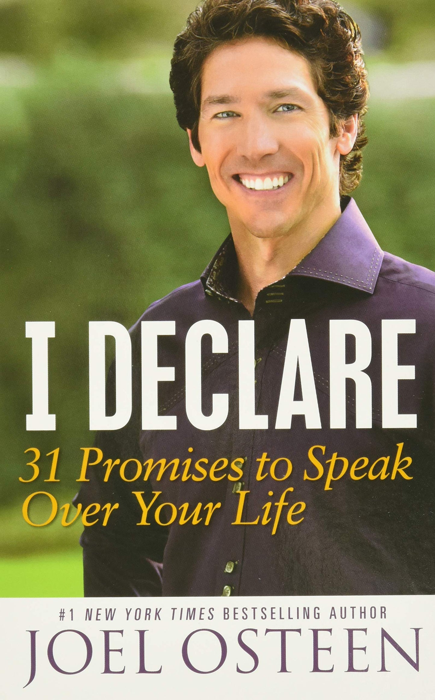 I DECLARE: 31 PROMISES TO SPEAK - 825