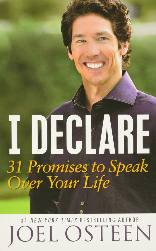 I DECLARE: 31 PROMISES TO SPEAK - 825