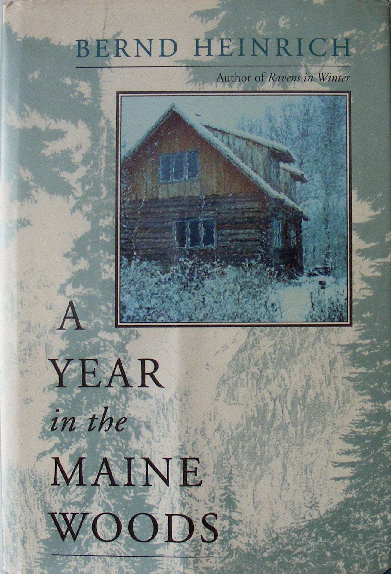 A Year In The Maine Woods - 5474