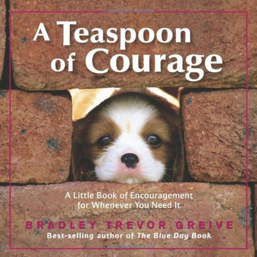 A Teaspoon of Courage: A Little Book of Encouragement for Whenever You Need It - 9099