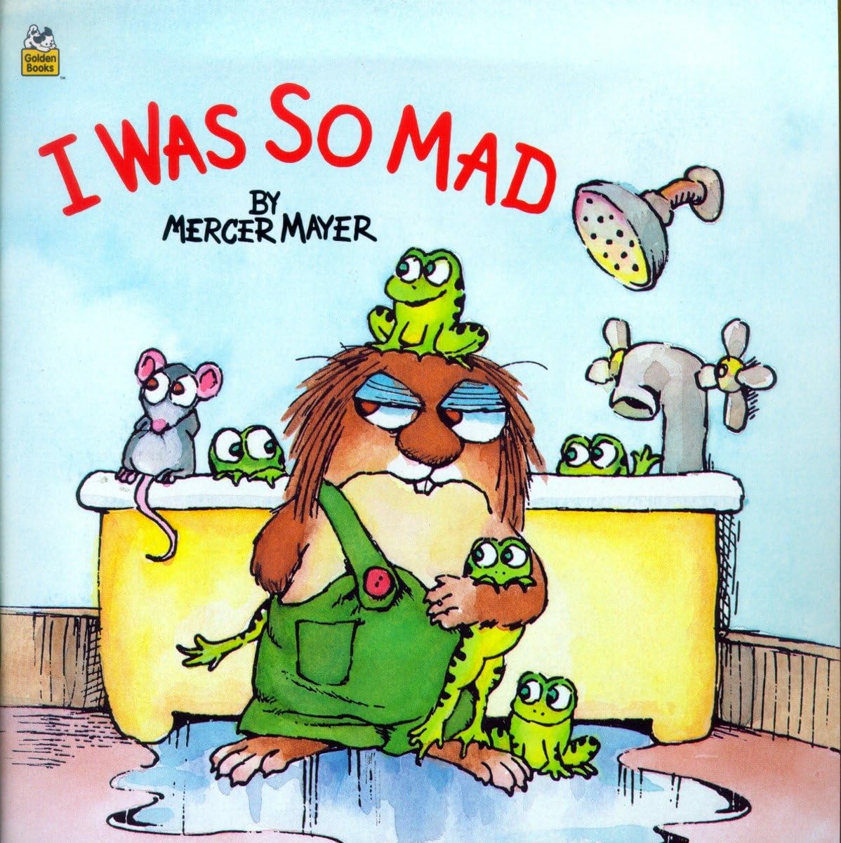 I WAS SO MAD (LITTLE CRITTER) (L
