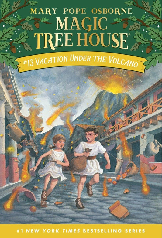 Vacation Under The Volcano - 3542