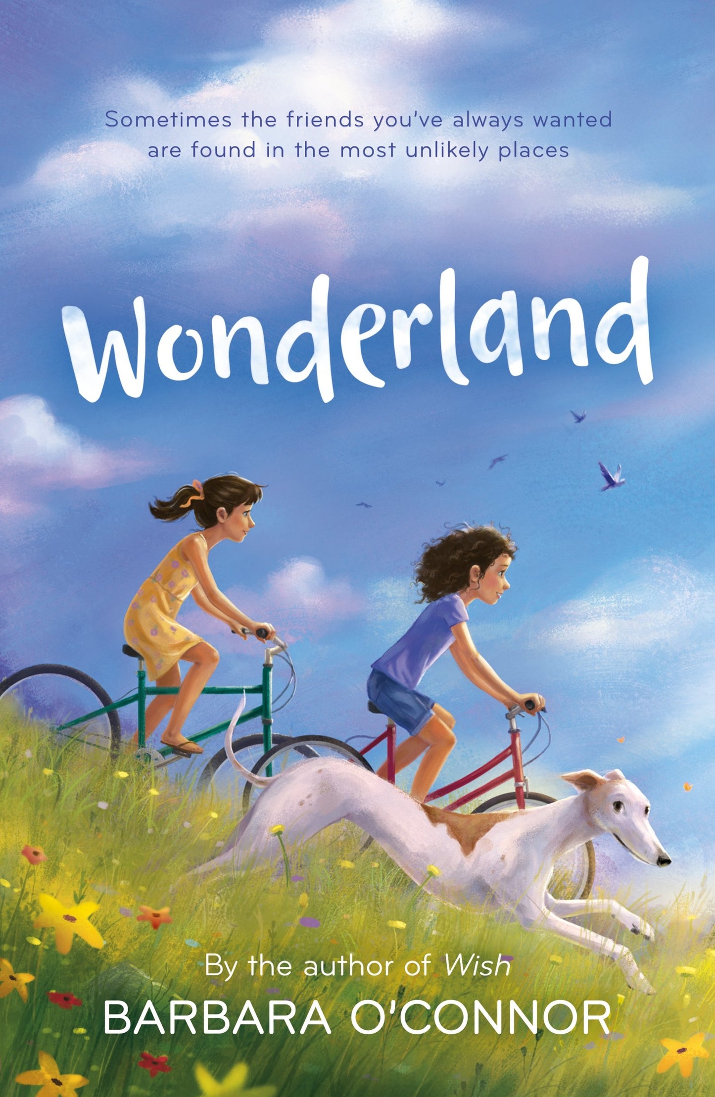 Wonderland: A Novel - 7837