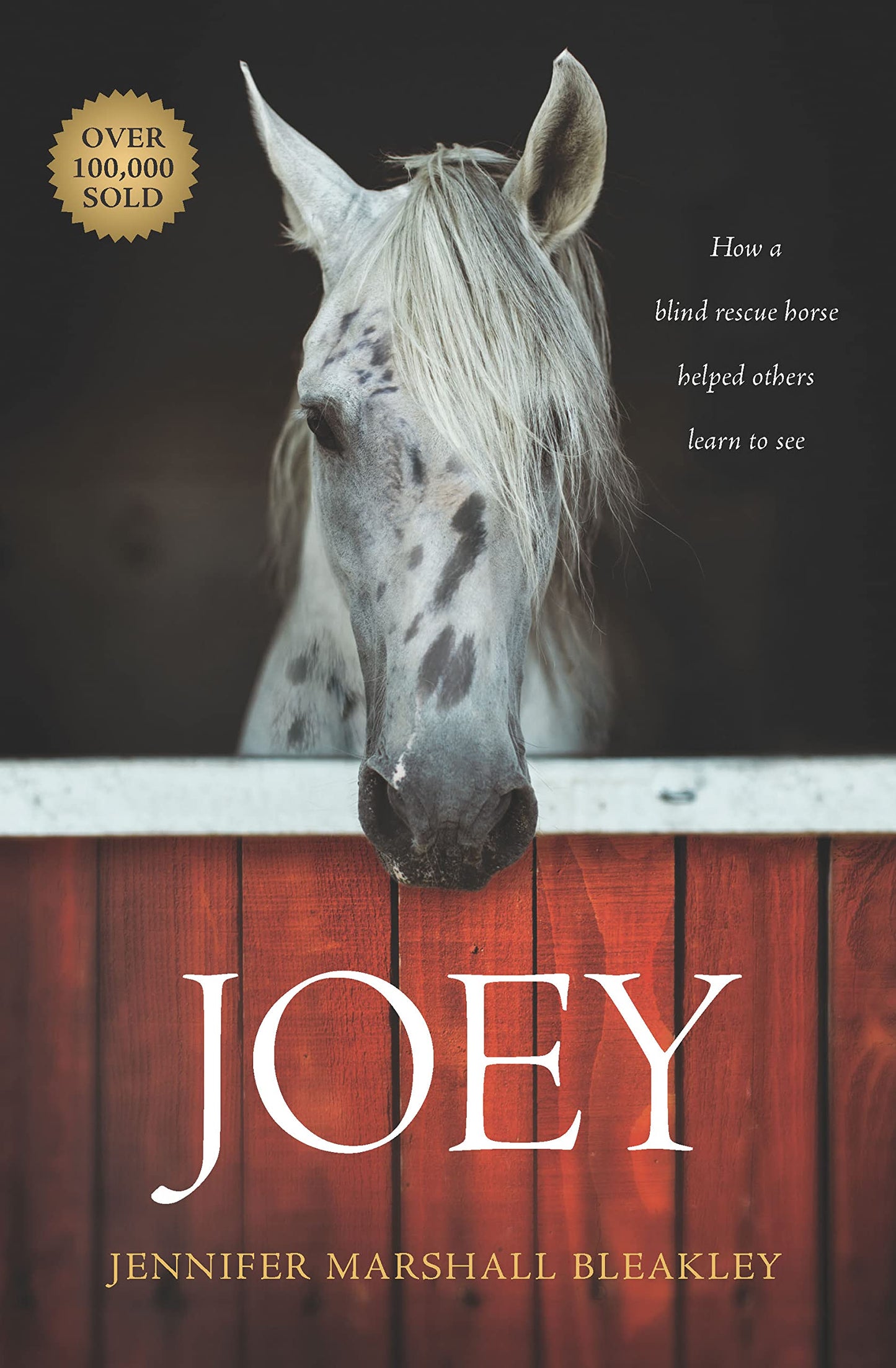 Joey: How a Blind Rescue Horse Helped Others Learn to See - 6615