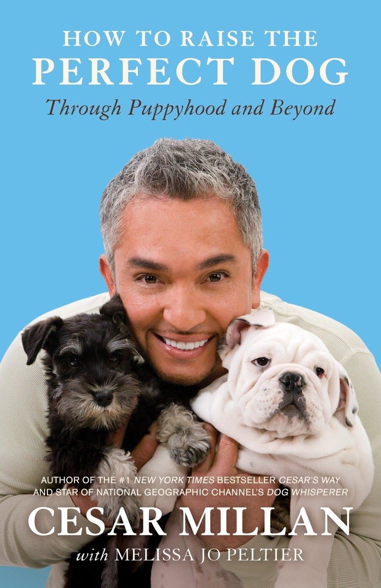 HOW TO RAISE THE PERFECT DOG: TH - 5684