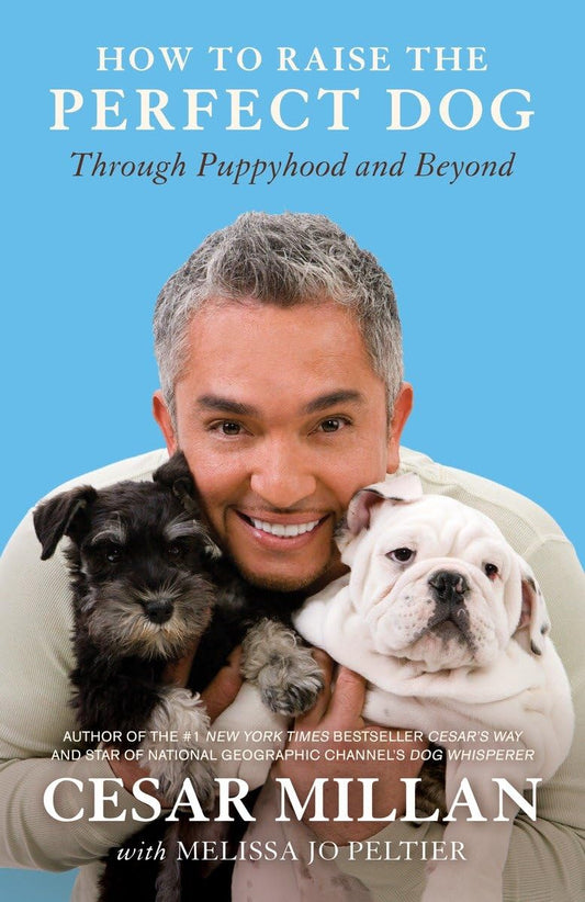 HOW TO RAISE THE PERFECT DOG: TH - 5684