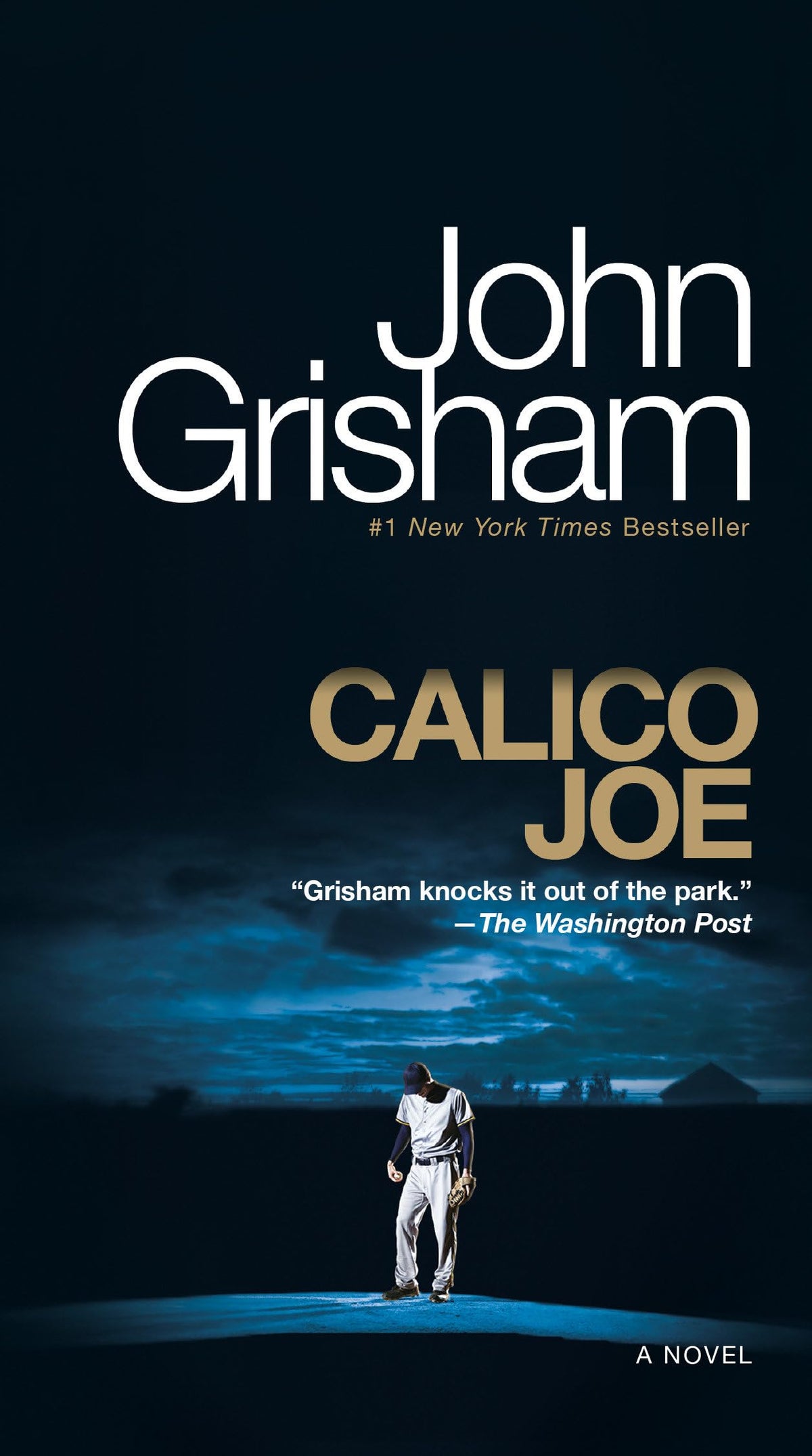 CALICO JOE: A NOVEL