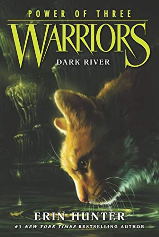 Warriors: Power of Three #2: Dark River - 8669